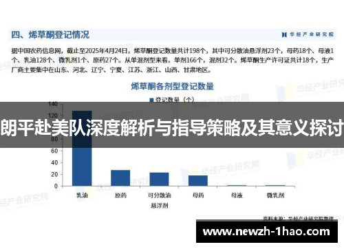 朗平赴美队深度解析与指导策略及其意义探讨