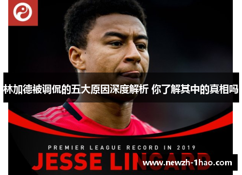 林加德被调侃的五大原因深度解析 你了解其中的真相吗