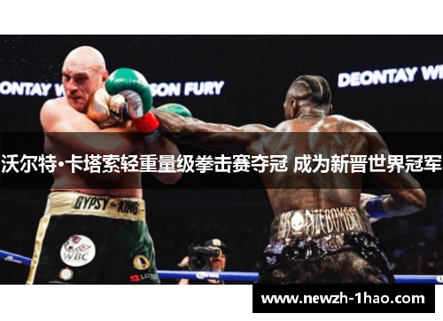 沃尔特·卡塔索轻重量级拳击赛夺冠 成为新晋世界冠军